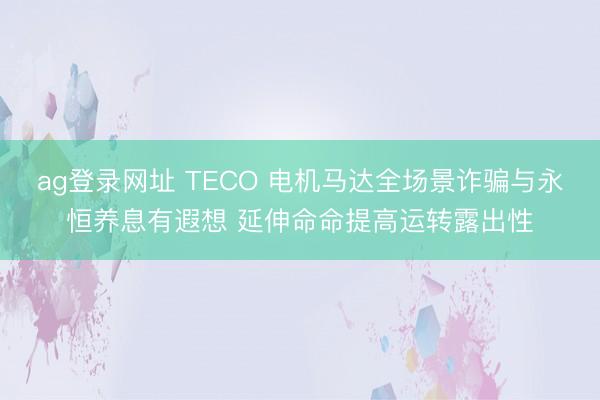 ag登錄網址 TECO 電機馬達全場景詐騙與永恒養息有遐想 延伸命命提高運轉露出性