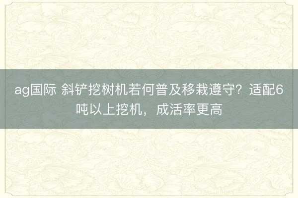 ag國際 斜鏟挖樹機若何普及移栽遵守？適配6噸以上挖機，成活率更高