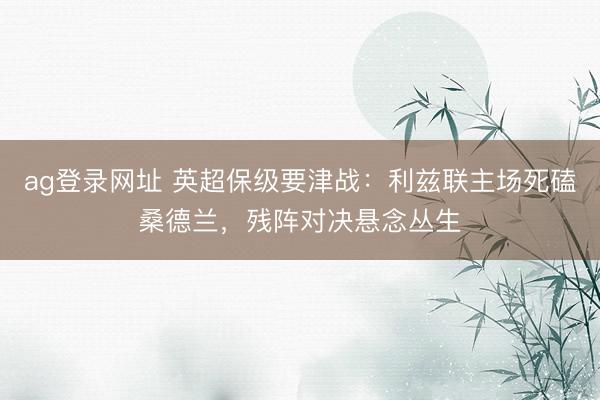 ag登錄網址 英超保級要津戰：利茲聯主場死磕桑德蘭，殘陣對決懸念叢生